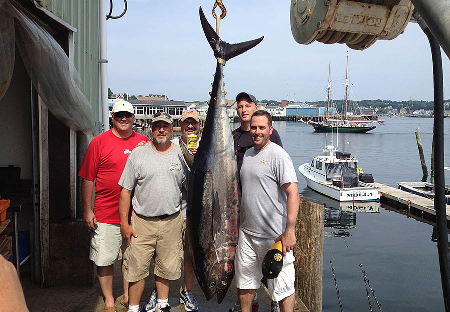 Boston tuna fishing