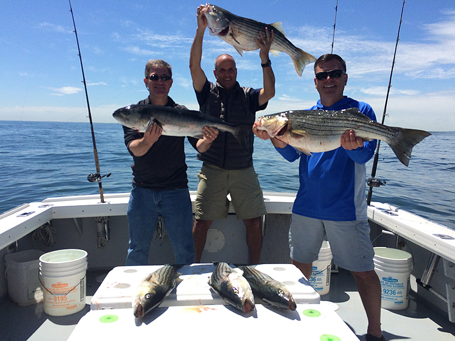 Bluefish and striped bass caught on a 4hr fishing charter