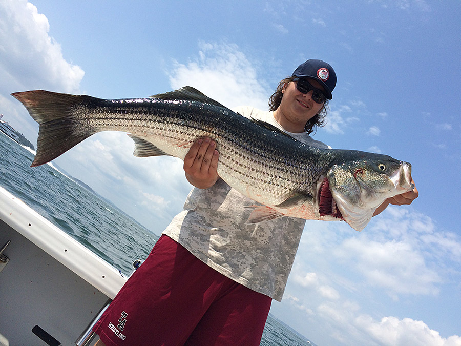 Angler with a nice striped bass