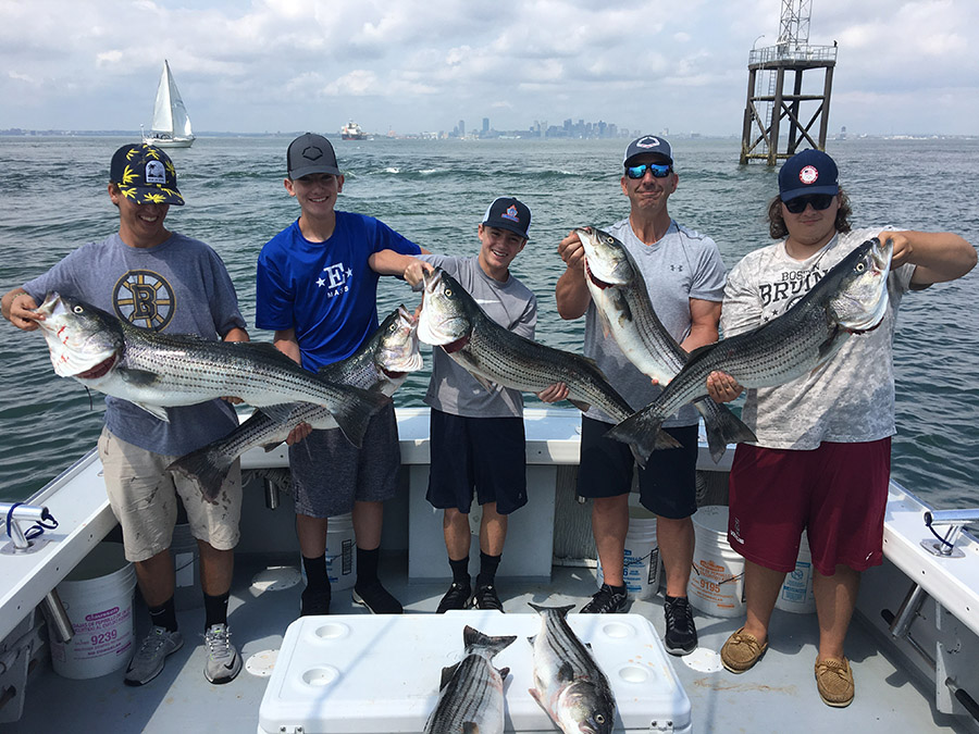 Days catch of fish while fishing on a Boston fishing charter
