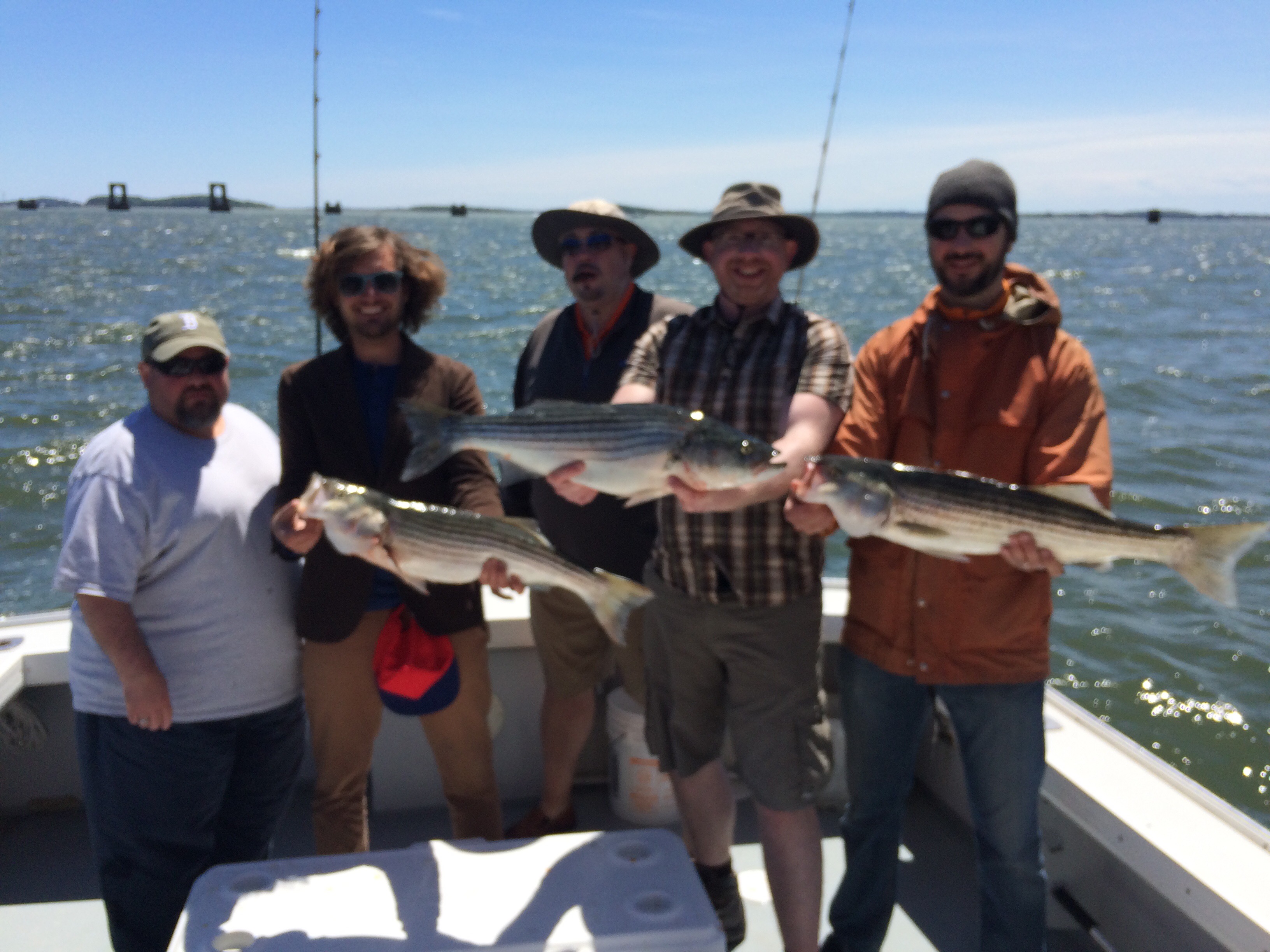 Boston harbor striped bass fishing with a group of anglers